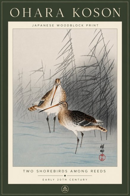 Ohara Koson Snipe in the Reeds No6 - Plakat