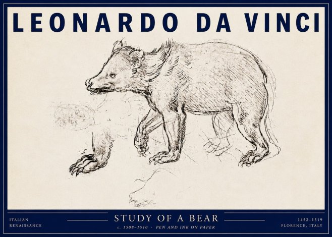Leonardo da Vinci Study of a Bear No3 - Plakat
