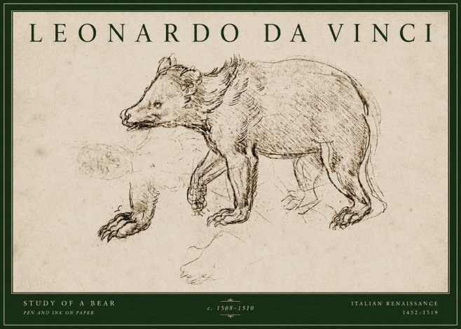 Leonardo da Vinci Study of a Bear No4 - Plakat