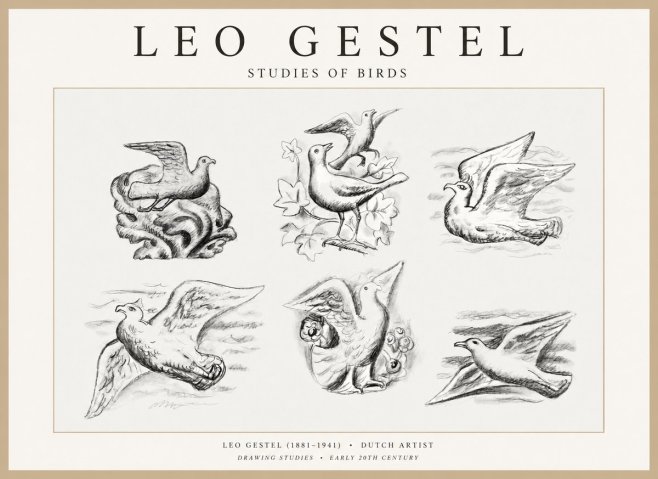 Leo Gestel Studies of Birds No1 - Plakat