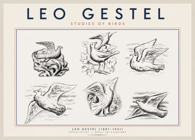 Leo Gestel Studies of Birds No2 - Plakat