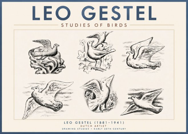 Leo Gestel Studies of Birds No4 - Plakat