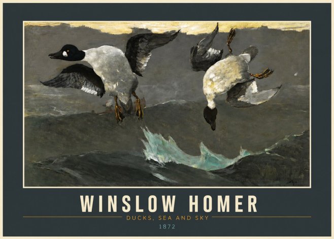Winslow Homer Ducks, Sea and Sky No2 - Plakat