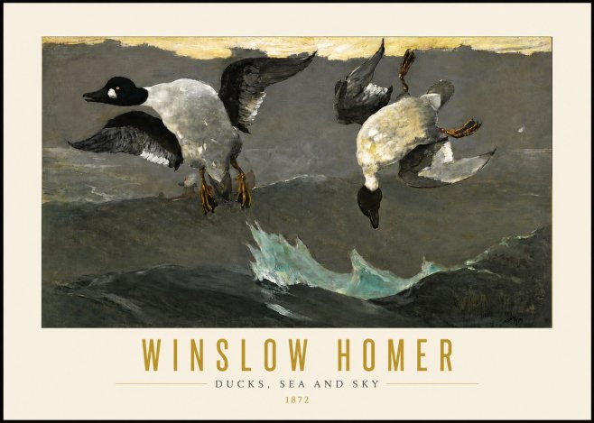 Winslow Homer Ducks, Sea and Sky No4 - Plakat
