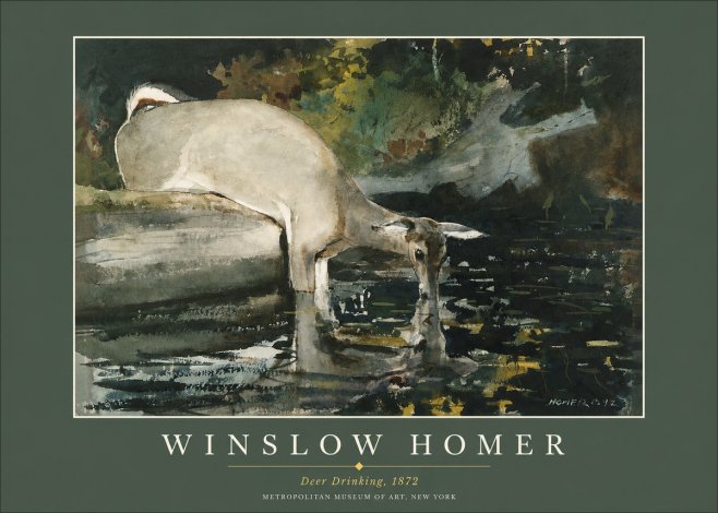 Winslow Homer Deer Drinking No2 - Plakat