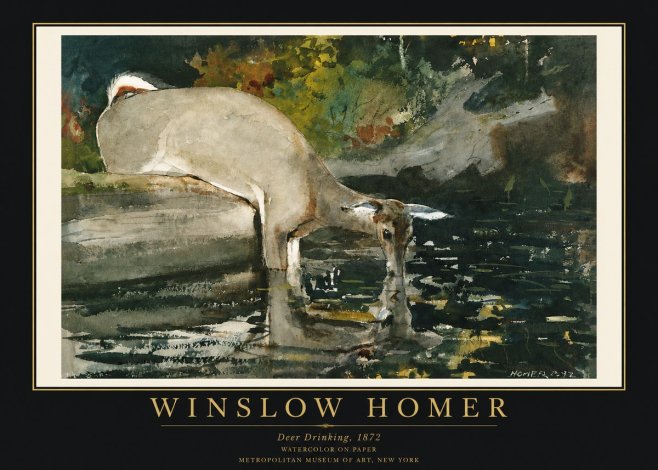Winslow Homer Deer Drinking No3 - Plakat