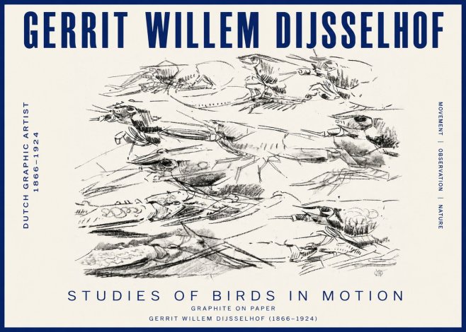 Gerrit Willem Dijsselhof Studies of Birds in Motion No3 - Plakat