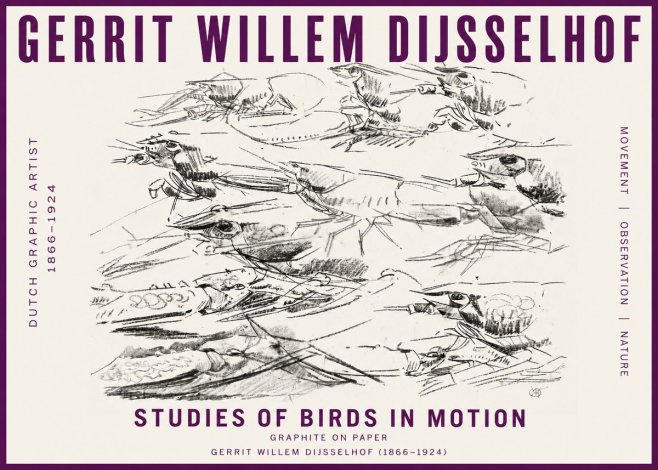 Gerrit Willem Dijsselhof Studies of Birds in Motion No5 - Plakat