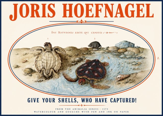 Joris Hoefnagel Two Turtles in a Stream No4 - Plakat