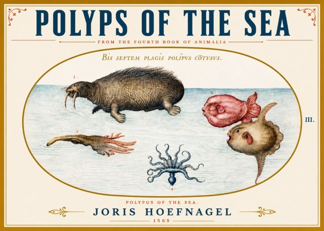 Joris Hoefnagel Polyps of the Sea No5 - Plakat