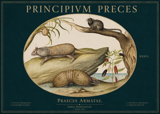 Joris Hoefnagel Praeces Armatae. No3 - Plakat