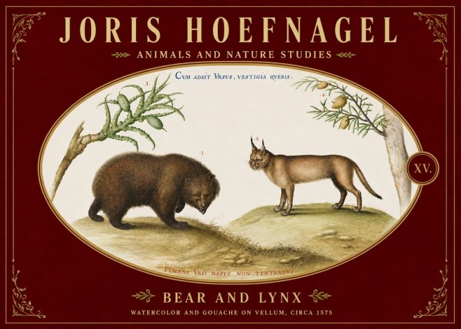 Joris Hoefnagel Bear and Lynx No5 - Plakat