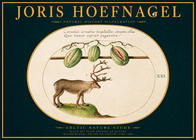 Joris Hoefnagel Arctic Nature Study No2 - Plakat