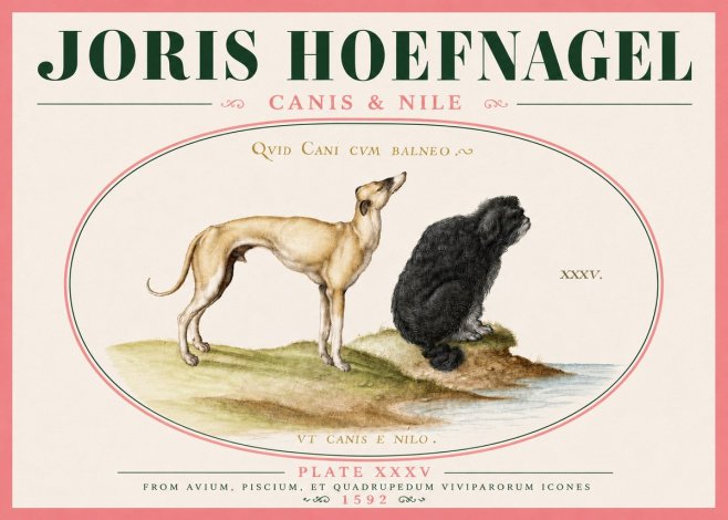 Joris Hoefnagel Neither Can a Dog Live in Baths No6 - Plakat