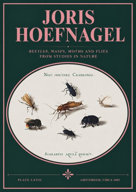 Joris Hoefnagel Scarabeus Aqvilä Qvaerit. No3 - Plakat