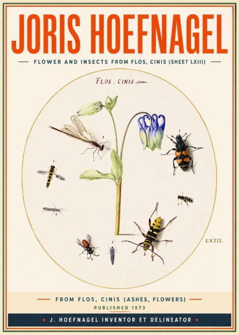 Joris Hoefnagel Insects and a Flower Study No4 - Plakat