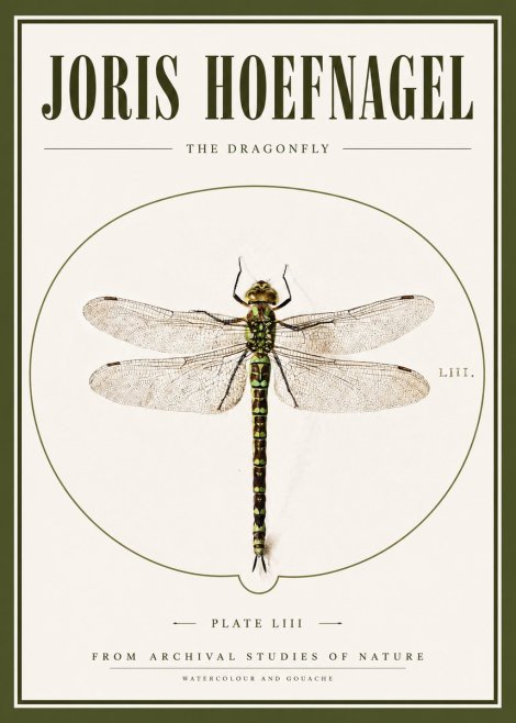Joris Hoefnagel The Dragonfly No3 - Plakat