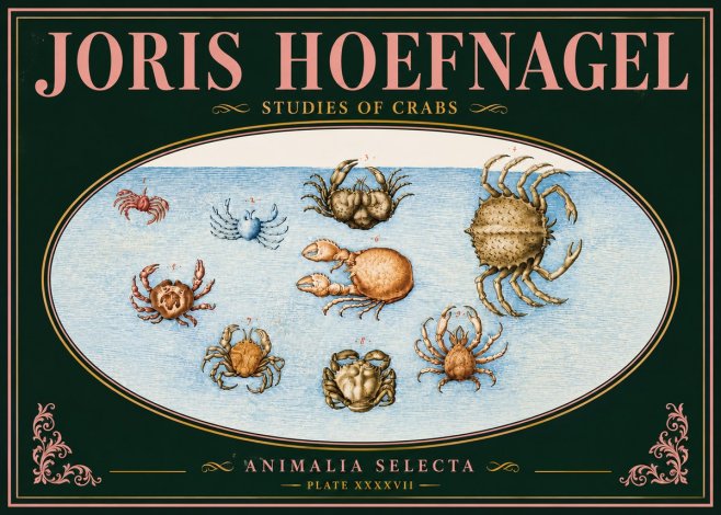 Joris Hoefnagel Studies of Crabs No5 - Plakat