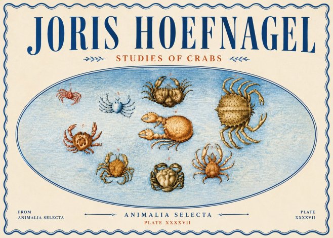 Joris Hoefnagel Studies of Crabs No6 - Plakat