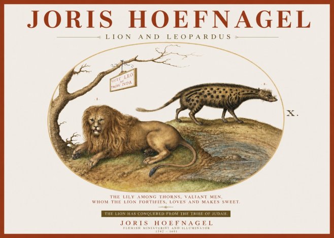 Joris Hoefnagel Lion and Spotted Hyena No4 - Plakat