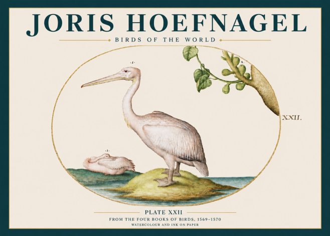 Joris Hoefnagel Plate Xxii No3 - Plakat