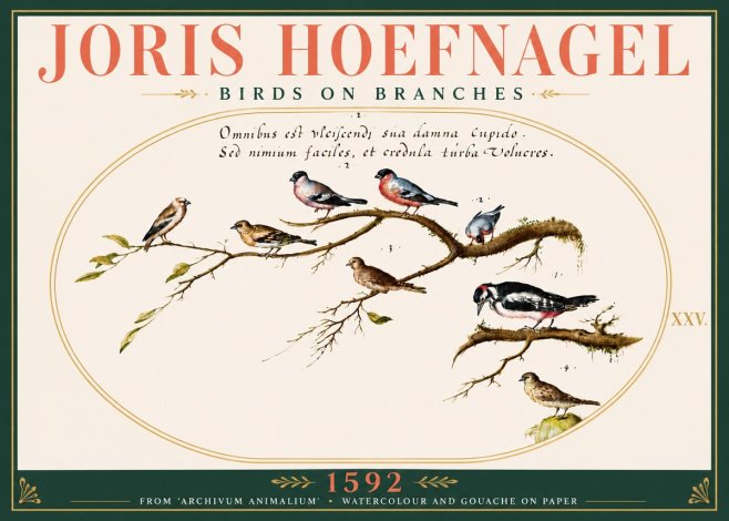 Joris Hoefnagel Birds on Branches No6 - Plakat