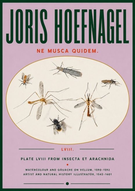 Joris Hoefnagel Plate Lviii from Insecta Et Arachnida No4 - Plakat