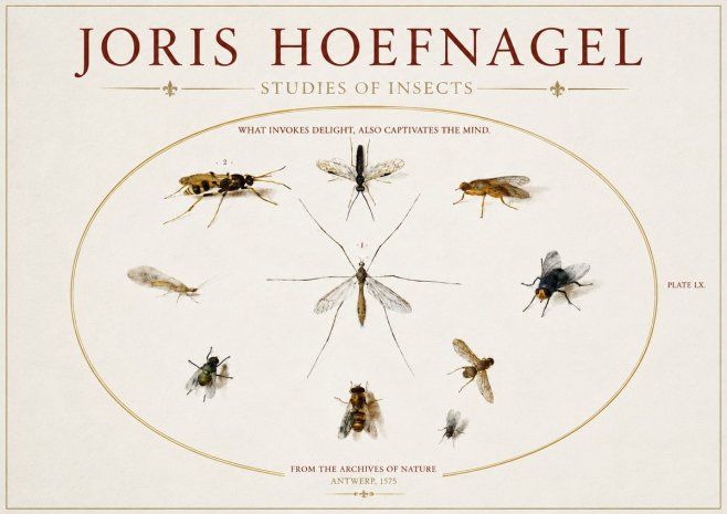 Joris Hoefnagel Studies of Insects III No3 - Plakat