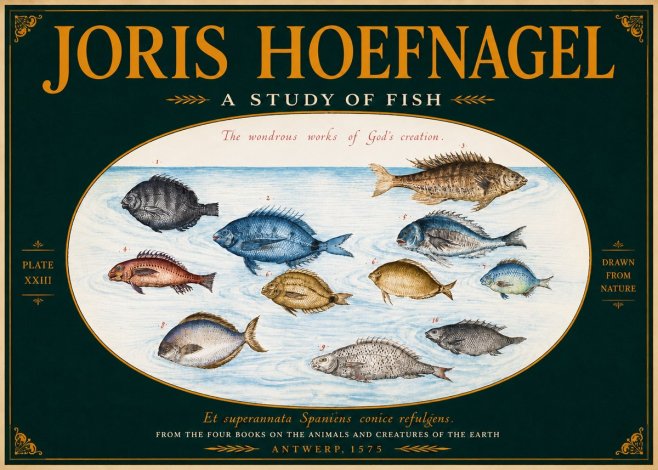 Joris Hoefnagel A Study of Fish No4 - Plakat