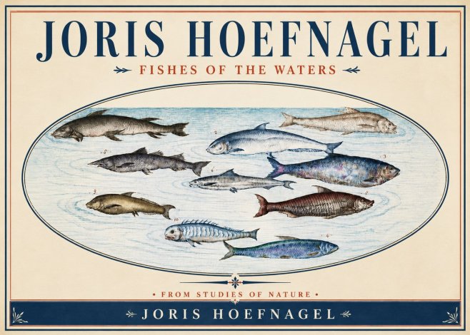 Joris Hoefnagel Fishes of the Waters II No4 - Plakat