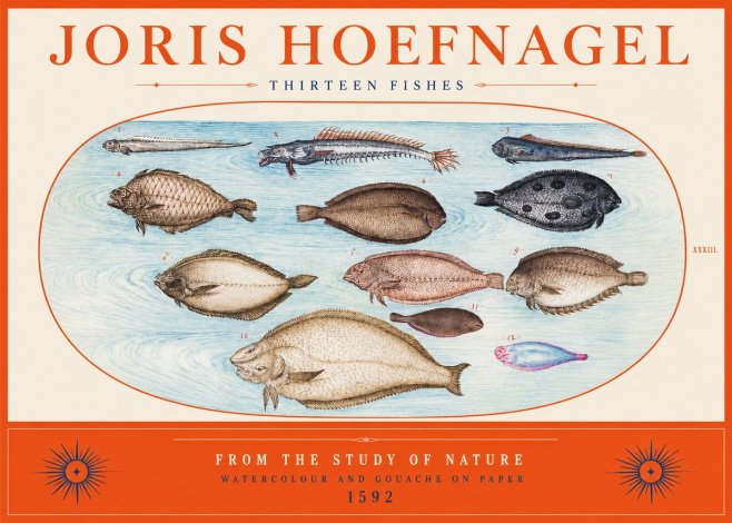 Joris Hoefnagel Thirteen Fishes from the Study of Nature No2 - Plakat