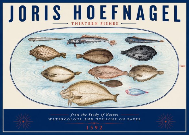Joris Hoefnagel Thirteen Fishes from the Study of Nature No6 - Plakat