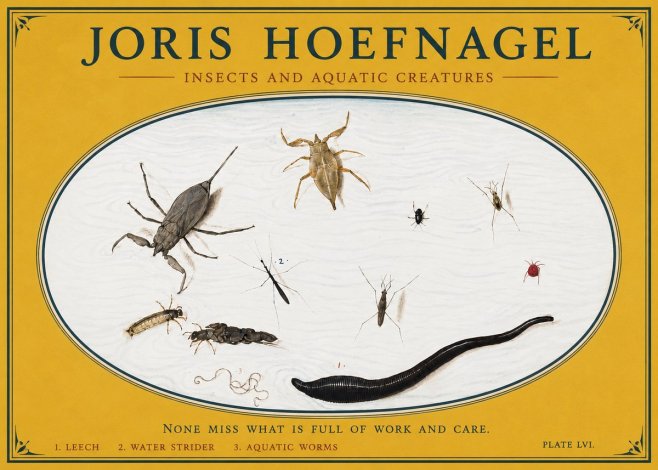 Joris Hoefnagel Insects and Aquatic Creatures No3 - Plakat