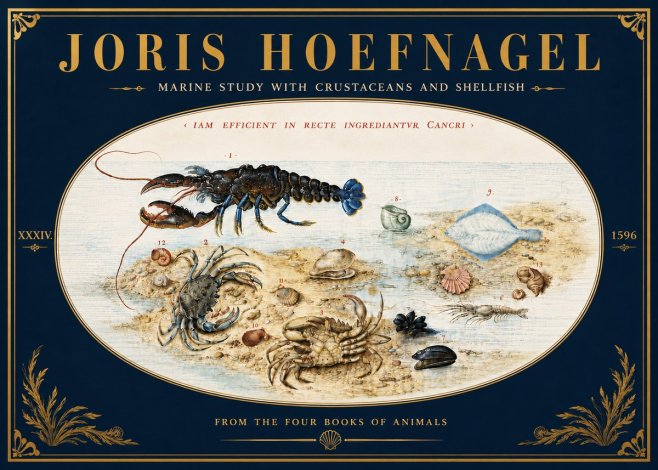 Joris Hoefnagel Marine Study with Crustaceans and Shellfish No6 - Plakat