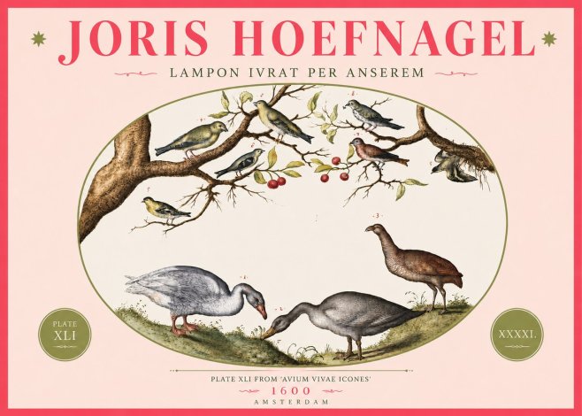 Joris Hoefnagel Lampon Ivrat per Anserem No4 - Plakat