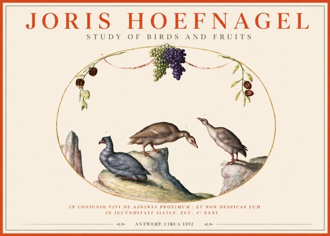 Joris Hoefnagel Three Birds with Grapes and Inscription No4 - Plakat