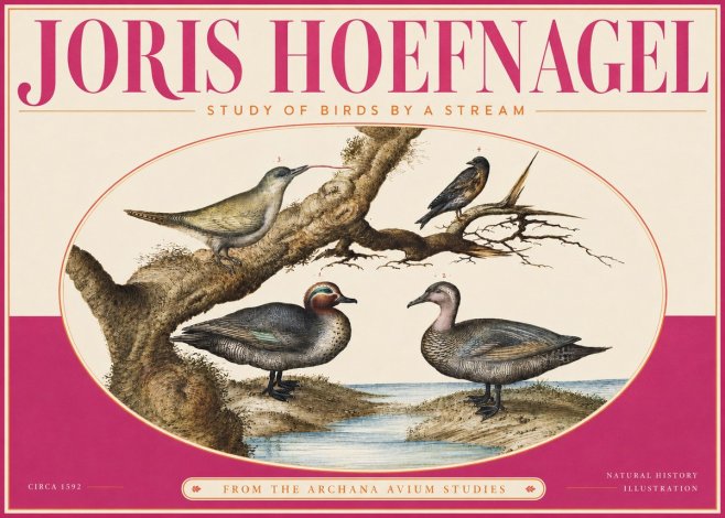 Joris Hoefnagel Study of Birds by a Stream No4 - Plakat