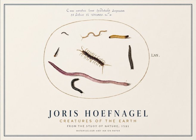 Joris Hoefnagel Creatures of the Earth II No1 - Plakat