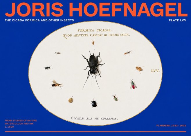 Joris Hoefnagel Formica Cicadae No6 - Plakat