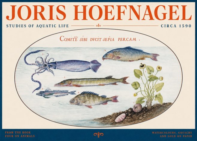 Joris Hoefnagel Comitẽ Sibi Ducit Sepia Percam. No2 - Plakat