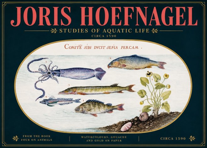 Joris Hoefnagel Comitẽ Sibi Ducit Sepia Percam. No5 - Plakat