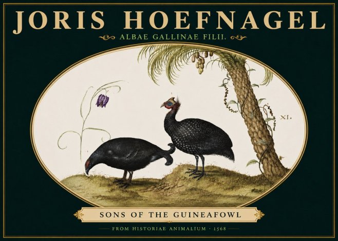Joris Hoefnagel Albae Gallinae Filii. No5 - Plakat