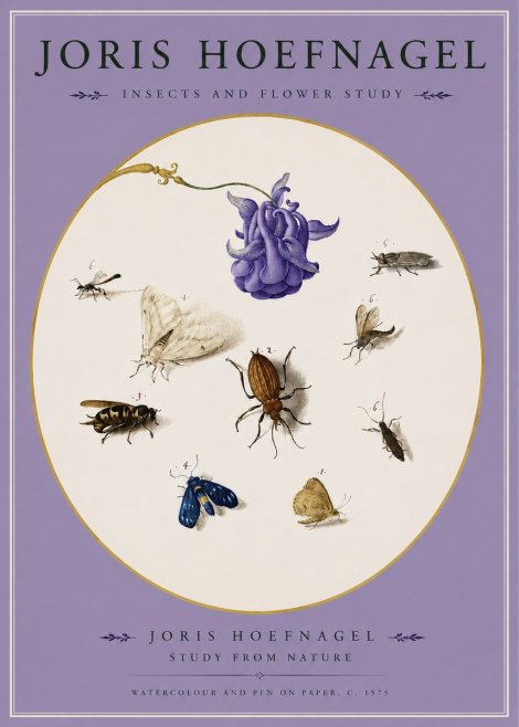 Joris Hoefnagel Studies of Insects and Flowers No3 - Plakat
