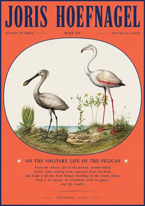 Joris Hoefnagel The Solitary Sanctuary of the Spoonbill and the Flamingo No4 - Plakat