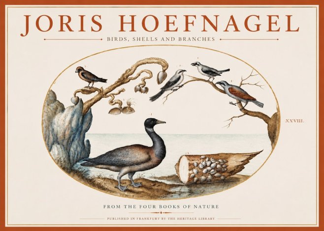 Joris Hoefnagel Birds, Shells and Branches No3 - Plakat