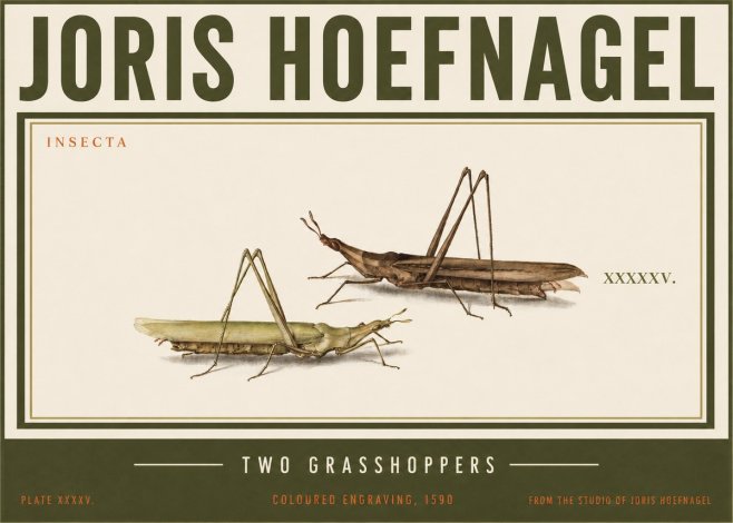 Joris Hoefnagel Two Grasshoppers No3 - Plakat