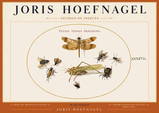 Joris Hoefnagel Flying Things Preceding. No3 - Plakat