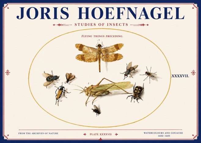 Joris Hoefnagel Flying Things Preceding. No4 - Plakat