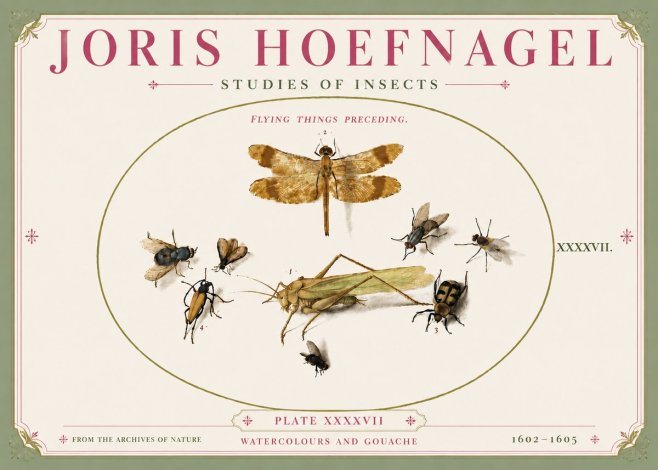 Joris Hoefnagel Flying Things Preceding. No5 - Plakat