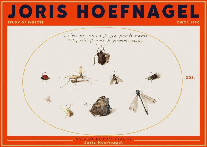 Joris Hoefnagel Study of Insects • Circa 1590 No3 - Plakat